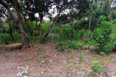 Image 1 from Land For Sale Freehold in Umalas