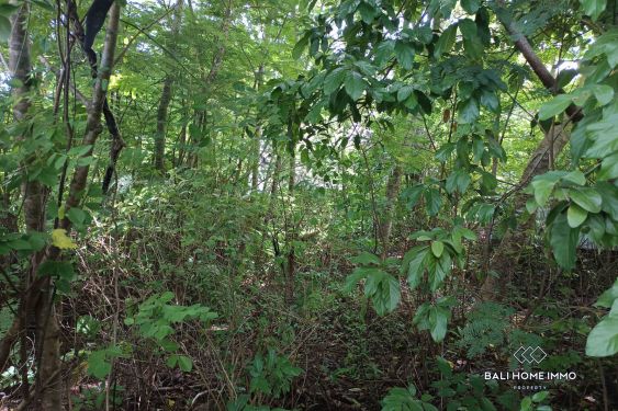 Image 5 from Dijual Tanah Hak Milik di Ungasan