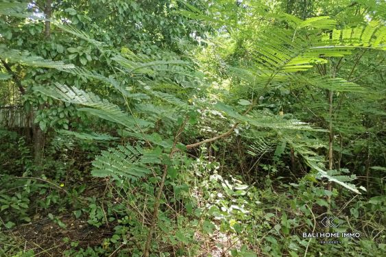 Image 4 from Dijual Tanah Hak Milik di Ungasan