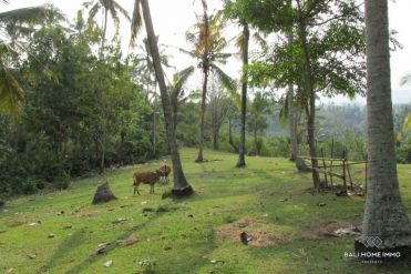 Image 3 from Land for sale freehold in Bali West Coast - Soka Beach