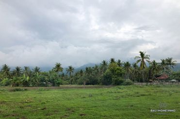 Image 1 from Land for Sale Freehold Near Lovina Beach
