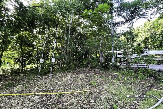 Image 5 from Terrain à vendre dans un quartier serein d'Ungasan