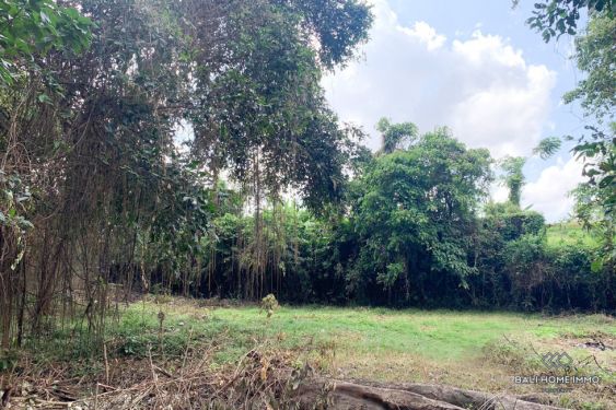 Image 14 from Tanah Dijual di Bali Canggu Area Residensial