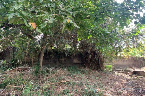 Image 12 from Tanah Dijual di Bali Canggu Area Residensial