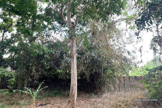 Image 6 from Tanah Dijual di Bali Canggu Area Residensial