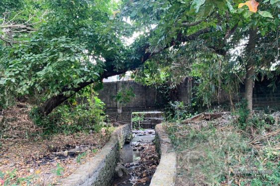 Image 4 from Tanah Dijual di Bali Canggu Area Residensial