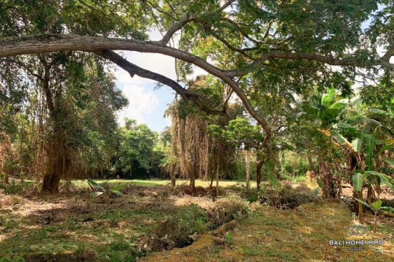 Image 5 from Tanah Dijual di Bali Canggu Area Residensial