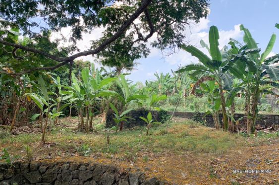 Image 9 from Tanah Dijual di Bali Canggu Area Residensial