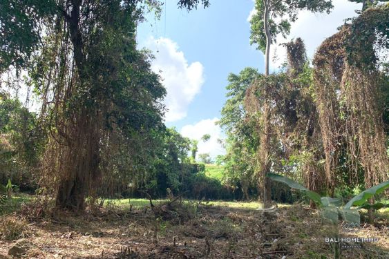 Image 11 from Tanah Dijual di Bali Canggu Area Residensial