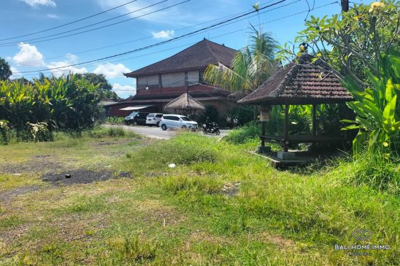Image 3 from Streetfront Land for Sale in Bali Ubud