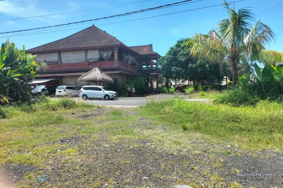 Image 2 from Streetfront Land for Sale in Bali Ubud