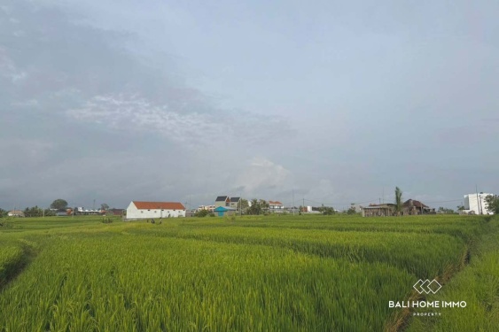 Image 4 from Land for sale in Cemagi Beach Side