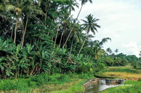 Image 6 from Terrain à vendre avec vue sur les rizières à Mambal près d'Ubud