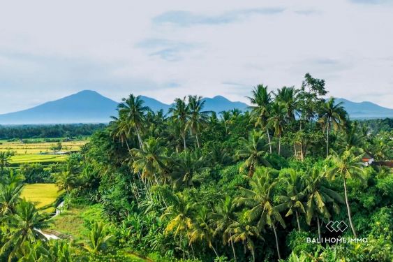 Image 5 from Terrain à vendre avec vue sur les rizières à Mambal près d'Ubud