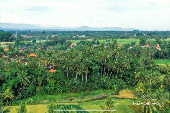 Image 4 from Terrain à vendre avec vue sur les rizières à Mambal près d'Ubud