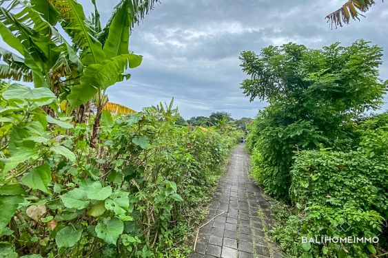 Image 3 from Land for sale Leasehold in Bali Canggu