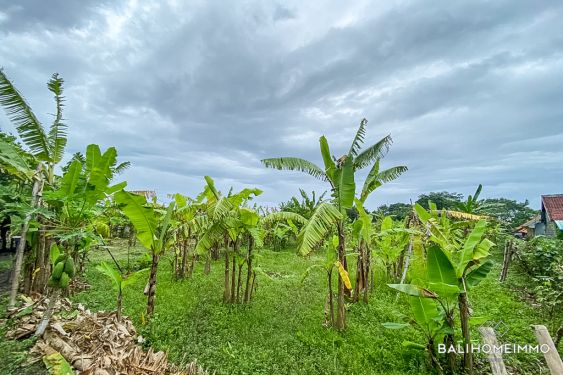 Image 3 from Terrain à vendre Leasehold à Bali Canggu