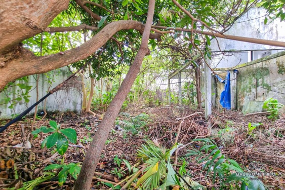 Image 3 from Land for Sale Leasehold in Bali Canggu Berawa