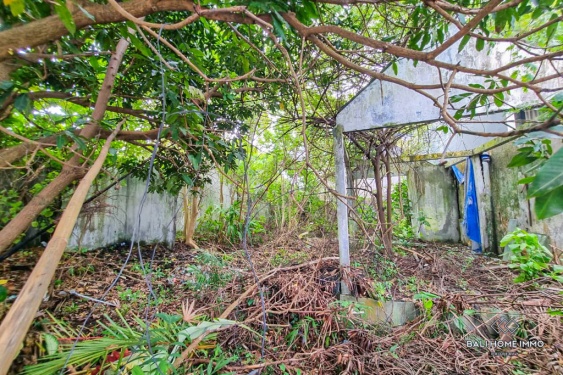 Image 4 from Land for Sale Leasehold in Bali Canggu Berawa