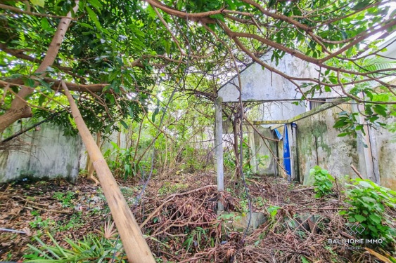 Image 2 from Land for Sale Leasehold in Bali Canggu Berawa