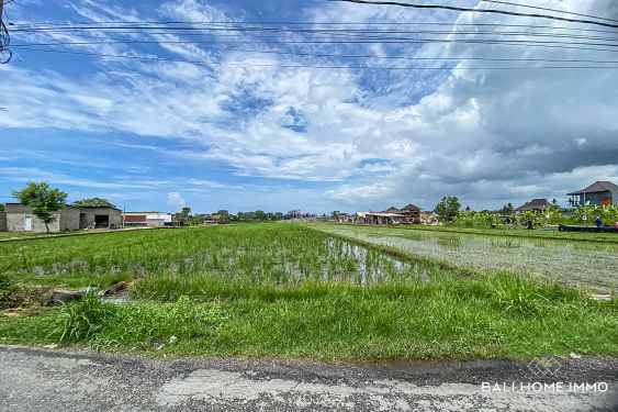 Image 2 from Tanah Disewakan Jangka Panjang di Bali Pererenan