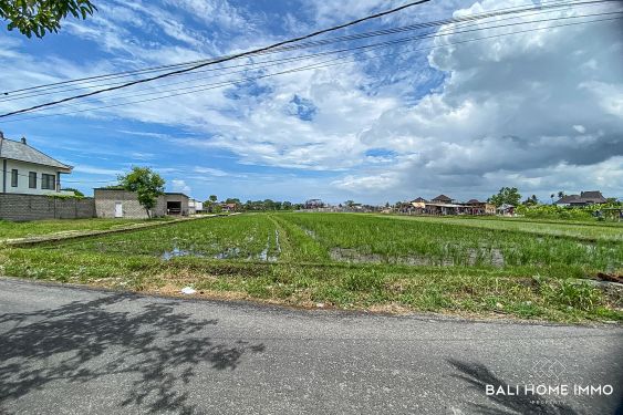 Image 3 from Tanah Disewakan Jangka Panjang di Bali Pererenan