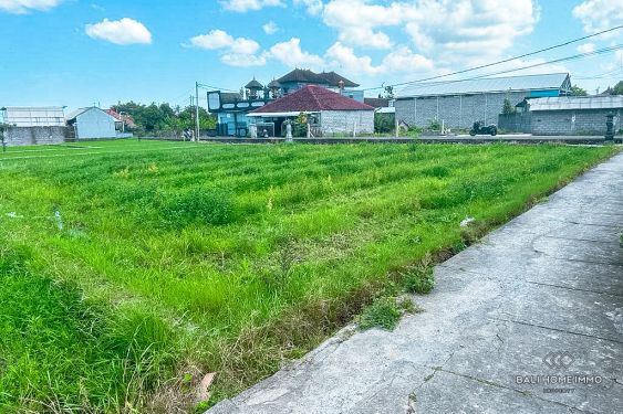 Image 3 from Land for Sale Leasehold in Bali Canggu Residential Area