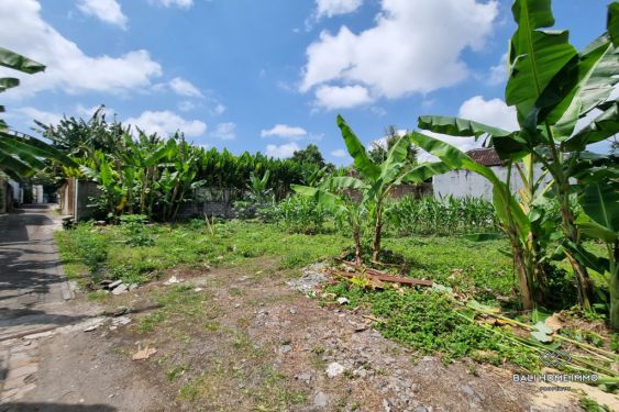 Image 3 from Land for Sale Leasehold in Bali Canggu Residential Side