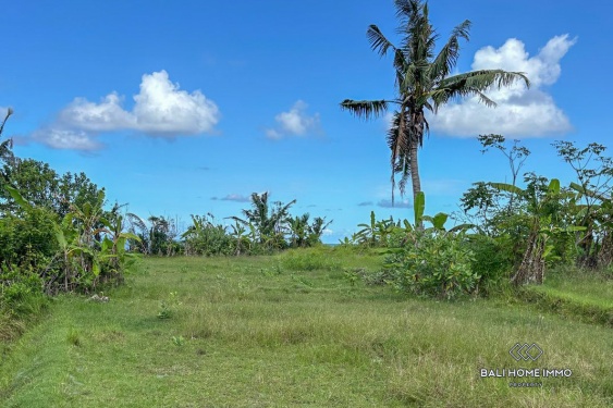 Image 5 from Tanah dijual hak guna usaha di Bali Pantai Timur Karangasem