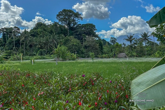 Image 8 from Tanah dijual hak guna usaha di Bali Pantai Timur Karangasem