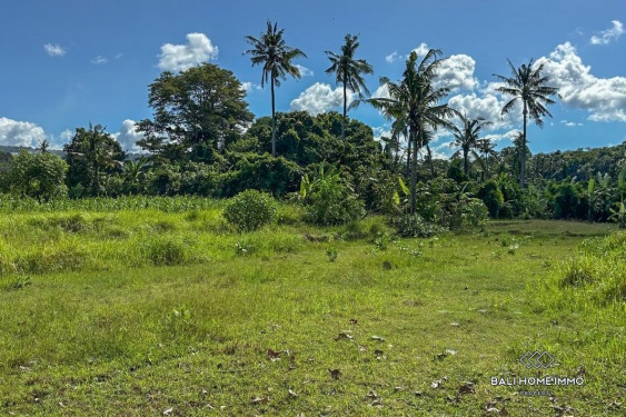 Image 4 from Tanah dijual hak guna usaha di Bali Pantai Timur Karangasem