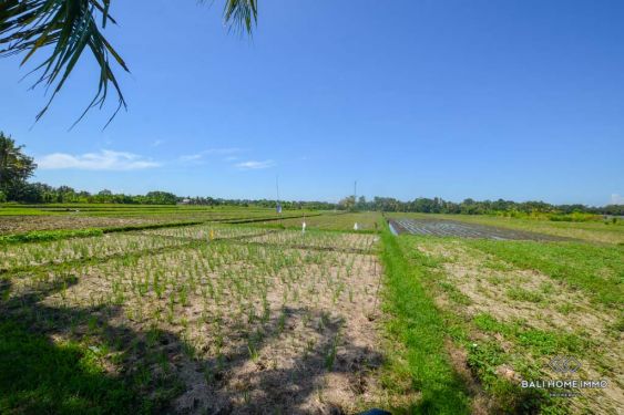 Image 2 from Ricefield View Land for Sale Leasehold in Bali Kedungu