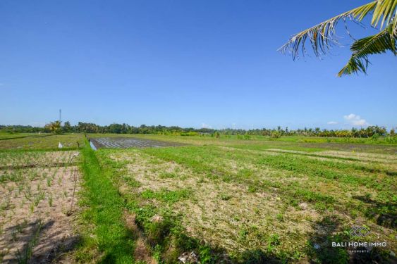 Image 3 from vue sur le champ de riz Terrain à vendre Fond de commerce à Bali Kedungu