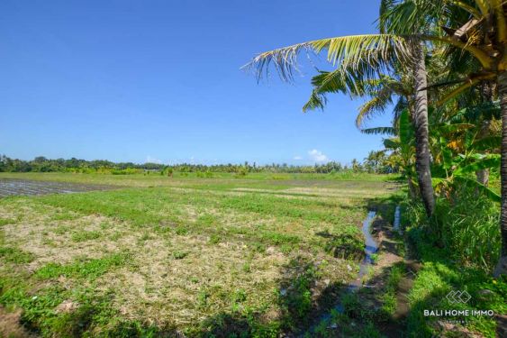 Image 2 from Ricefield View Land for Sale Leasehold in Bali Kedungu
