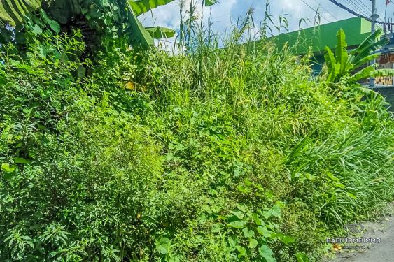 Image 3 from Tanah Dikontrakan Jangka Panjang Di Bali Legian