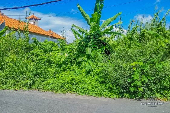 Image 2 from Tanah Dikontrakan Jangka Panjang Di Bali Legian