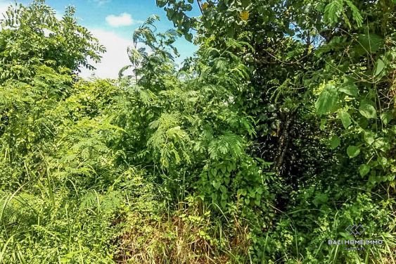 Image 2 from Land For Sale Leasehold In Bali Legian