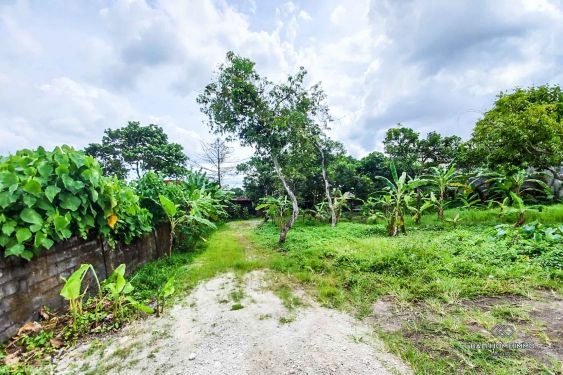 Image 3 from Land for Sale Leasehold in Bali North Canggu