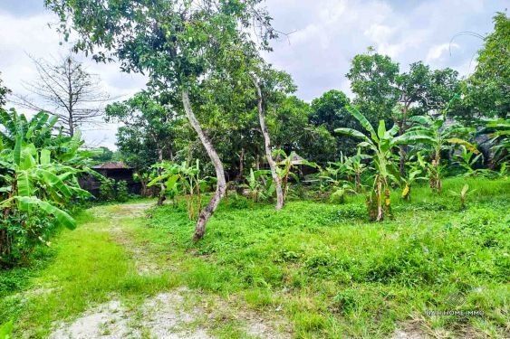 Image 2 from Land for Sale Leasehold in Bali North Canggu