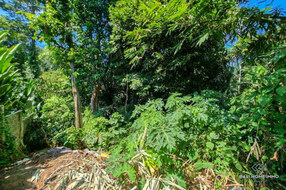 Image 4 from Dijual tanah di pinggir sungai di Tumbak Bayuh Pererenan