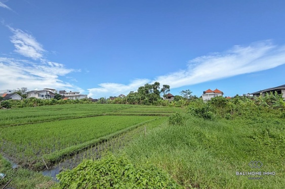 Image 4 from Dijual Tanah Hak Guna Usaha di Bali Pererenan - Tumbak Bayuh