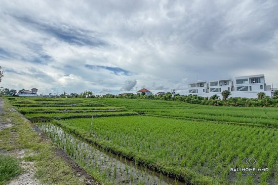 Image 2 from Dijual Tanah Hak Guna Usaha di Bali Pererenan - Tumbak Bayuh