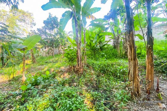 Image 3 from LAND FOR SALE LEASEHOLD IN BALI PERERENAN