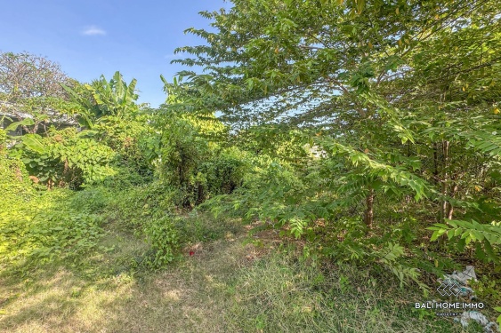 Image 5 from Tanah dijual leasehold di Bali - Kerobokan