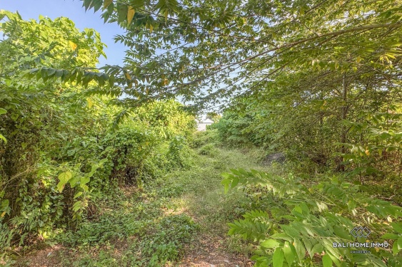 Image 4 from Tanah dijual leasehold di Bali - Kerobokan