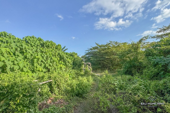 Image 2 from Land for sale leasehold in Bali - Kerobokan