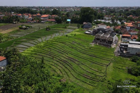 Image 3 from Ricefield View Land for sale leasehold in Bali Tumbak Bayuh