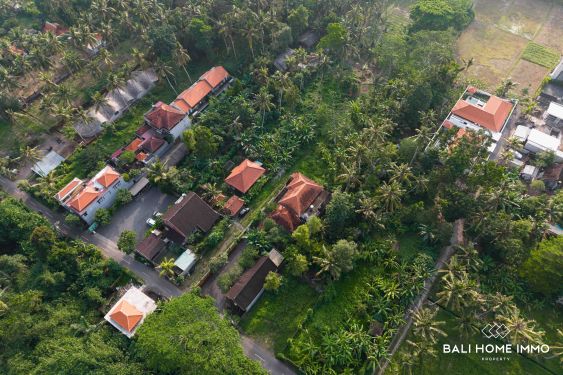 Image 5 from Terrain à vendre leasehold in Bali Ubud