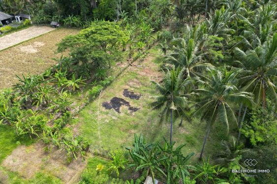 Image 3 from Land for sale leasehold in Bali Ubud