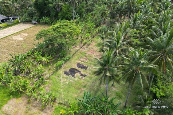 Image 2 from Land for sale leasehold in Bali Ubud